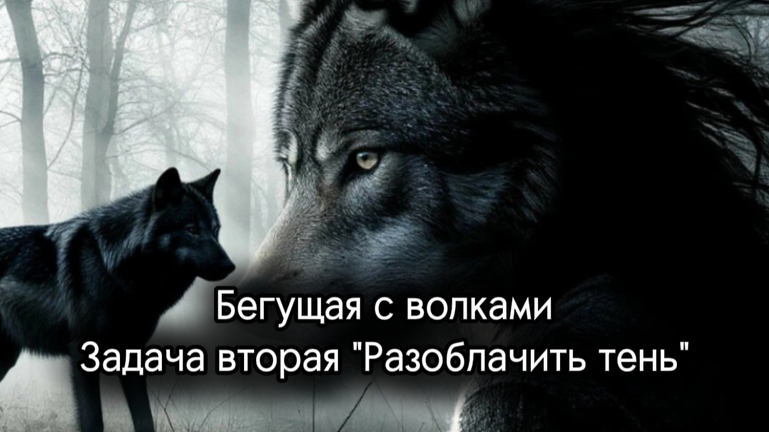 Бегущая с волками. Задача вторая. Разоблачить тень