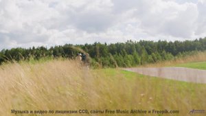Музыка раскрывает сердце на фоне этих видов - Вегбургер -- POVALISHIN DIVISION -- Запрещать Запрещен