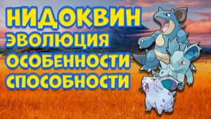 НИДОКВИН. ЭВОЛЮЦИЯ, ОСОБЕННОСТИ, СПОСОБНОСТИ