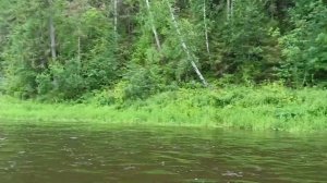 Сплав на пакрафтах  Тайфун 260, и Басег по Усьве. Август 2