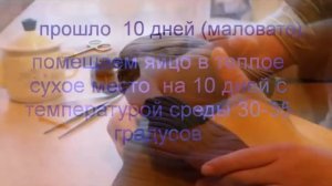 Создание гомункула! Биология дома создаем живое сами Homunculus this is horosho