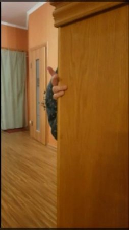 Джуджалярим-3