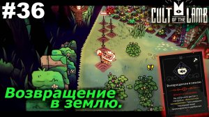 Возвращение в землю.#36 Cult of the Lamb. Прохождение