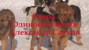 Свора (Премьера клипа 2025 г.)