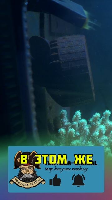 Пришли помпы течения MLW 30… Слишком мощные, но я их всё равно поставил 🌊⚡ #морскойаквариум  #reef