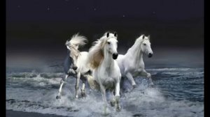 Вася сапак Цыганская песня - Птица ворон 2025