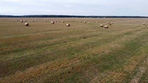 БПЛА - В полёте над полем.