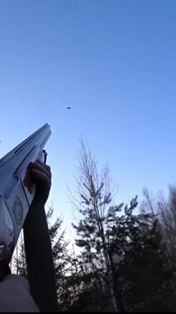 Отличный выстрел 🎯