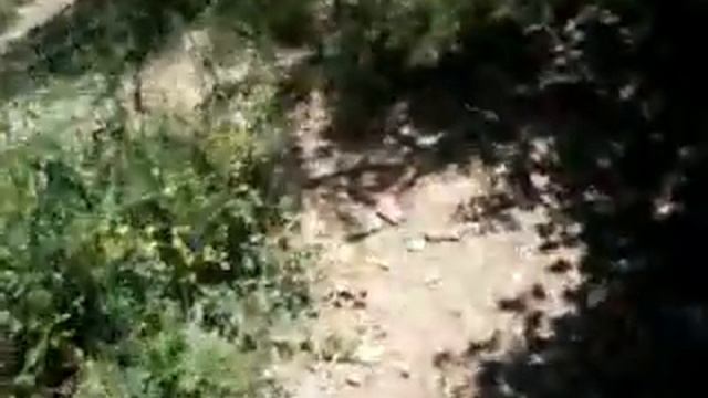 Разходка смотреть онлайн