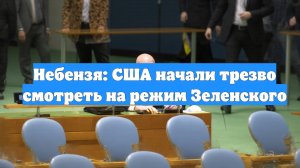 Небензя: США начали трезво смотреть на режим Зеленского