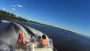 YAMAHA FISH-17 отдых на р. Зея .