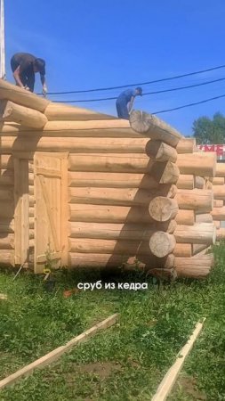 Питер, встречай кедровую королеву! Едем к вам русской баней! 🔥