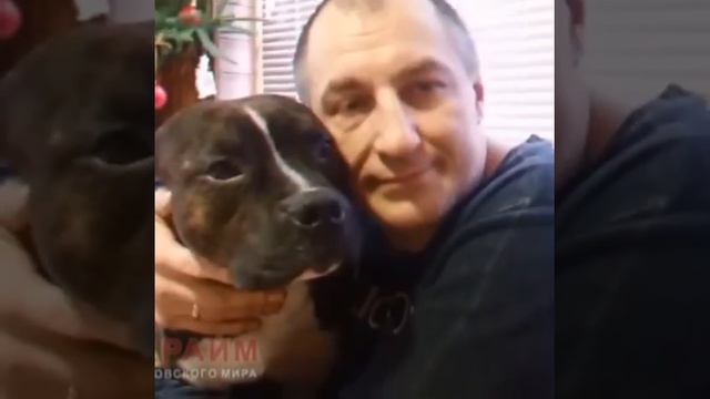 Костя Костыль....Вору посвящается.... смотреть онлайн