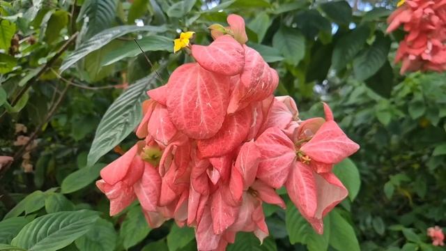 "Я забрала твой дом по наследству, теперь это будет моя смотреть онлайн