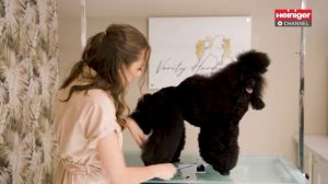 Мастер-грумер Verity Hardcastle использует SaphirBasic StyleMidi StyleMini (при участии Флойда)