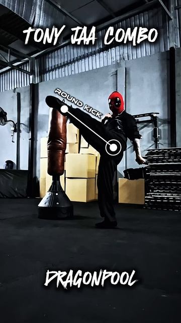 Tony Jaa combo