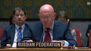 Василий Небензя. Выступление на заседании СБ ООН по Украине 29 мая 2025 года
