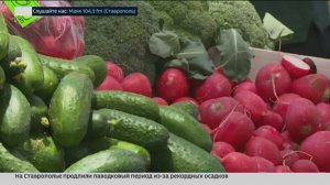 Годовая инфляция на Ставрополье замедлилась за апрель
