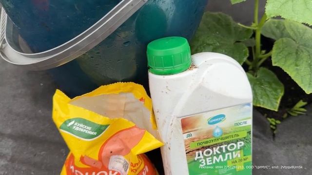 1 ТАБЛЕТКА И ЗАМЕРЗШИЕ ОГУРЦЫ, ТОМАТЫ, ПЕРЦЫ - УДИВИТЕЛЬНЫЙ СПОСОБ, КАК ОНИ ОЖИВУТ И УДОБРИЛЕНО З...