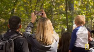 Polar Bear Pregnancy (Full Episode) | Secrets of the Zoo: North Carolina | Nat Geo Animals