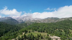 Дикие звери и дикий вайб! - They Dont Care -- Overhill Ln -- OPULENT