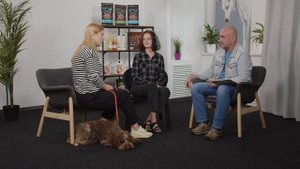 Ток-шоу «Хочу собаку». Лаготто-Романьоло | Как выбрать