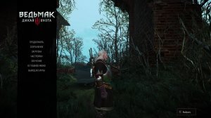The Witcher 3(ведьмак 3)