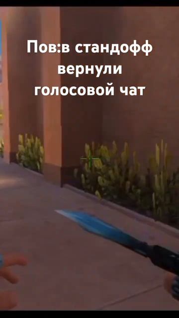 Пов:в стандофф вернули голосовой чат (приватка)