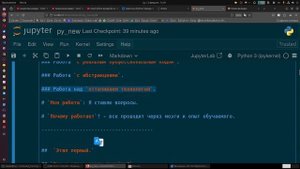 Как освоить Python с нуля и выйти на уровень разработчика
