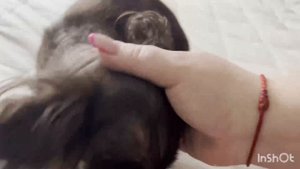 СЕГОДНЯ ВО ВЛОГЕ МНОГО ЖОЗЕФИНКИ🐕 УХОД ЗА СОБОЙ И КАК ОТМЫТЬ КЕРАМИКУ? #аринаморесочи