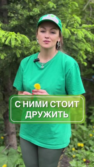 Полезные насекомые в саду 🐞