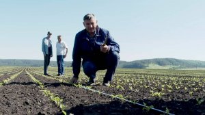В Заинске оценили качество всходов