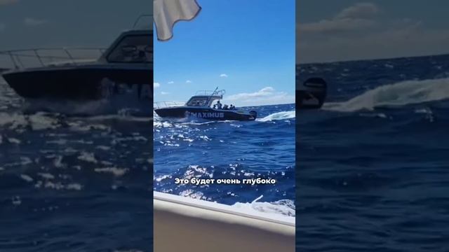 Отзывы о бизнес-ретрите на Маврикии - Ксения Павлова смотреть онлайн