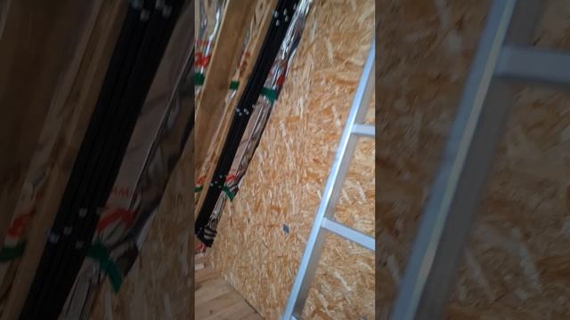 1000025031.mp4 (Собака смотрит на электроснабжение нового дома А-фрейм)