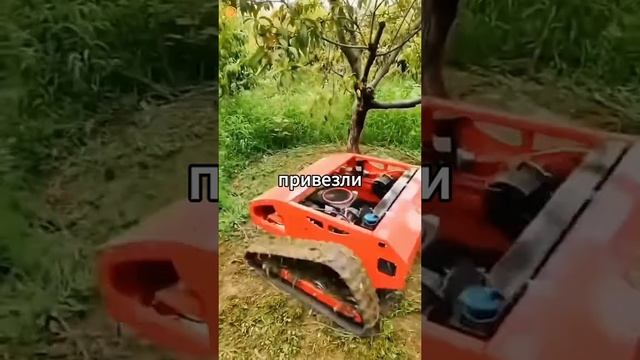 история
