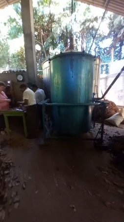 Cinnamon production, 4,SriLanka
