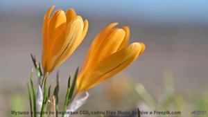 Каждая долина под такую мелодию становится личным раем - DGAF -- Kiggler -- Between The Lines