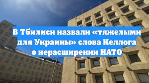 В Тбилиси назвали «тяжелыми для Украины» слова Келлога о нерасширении НАТО