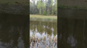 Щука на ультралайт