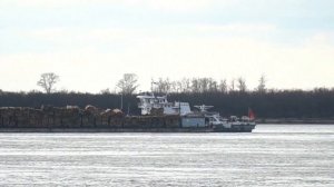 🏗Россия использует китайский опыт для модернизации острова Большой Уссурийский