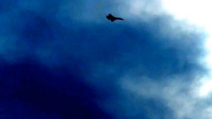 Высший пилотаж и управляемый штопор