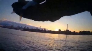 ПИТЕР ❤️РЫБАЛКА НА НЕВЕ 🎣🎣🎣