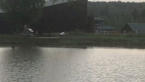 утренние поимки африканского сома