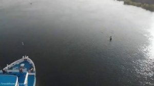 Пассажирский теплоход Игорь Стравинский