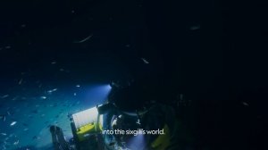Hunting Behaviors of the Sea | Ocean Xplorers