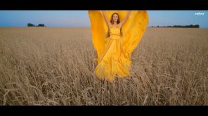 Песня "Шаганэ, ты моя Шаганэ" (стихи Есенина + SUNO AI)