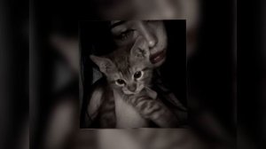 FLOKI, ЭВСЭ - девочка с моих снов теперь со мной speed up🖤