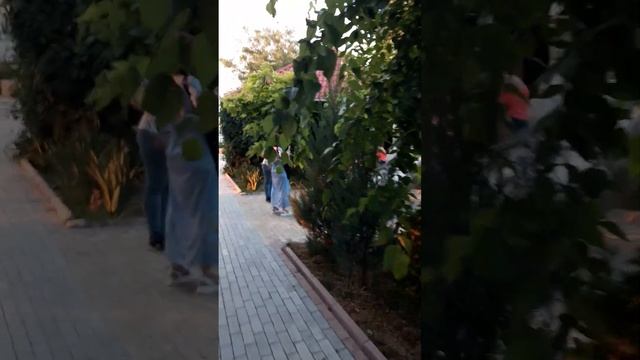 Яхтклуб г. Николаев смотреть онлайн