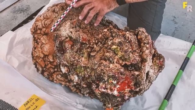 20 Ужасающих Вещей, Найденных Внутри Затонувших Корабл