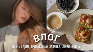 ВТОРАЯ ПОПЫТКА ПОЙТИ В САДИК, ПРОДУКТОВАЯ ЗАКУПКА, ГОТОВЛЮ СПРИНГ РОЛЛЫ
